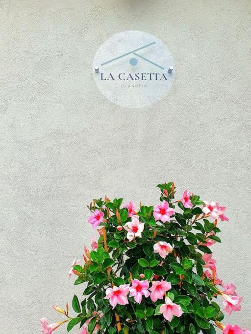 La Casetta Di Angela Rivarolo Canavese Bagian luar foto